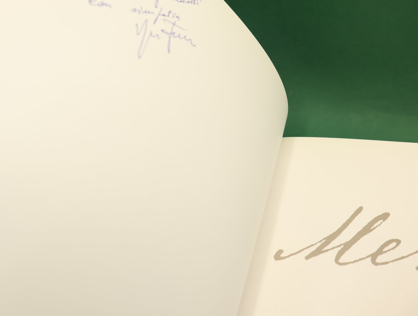 Storie di Pallapugno e ordinaria Storie di Pallapugno e ordinaria albesità Nando Vioglio Firmato