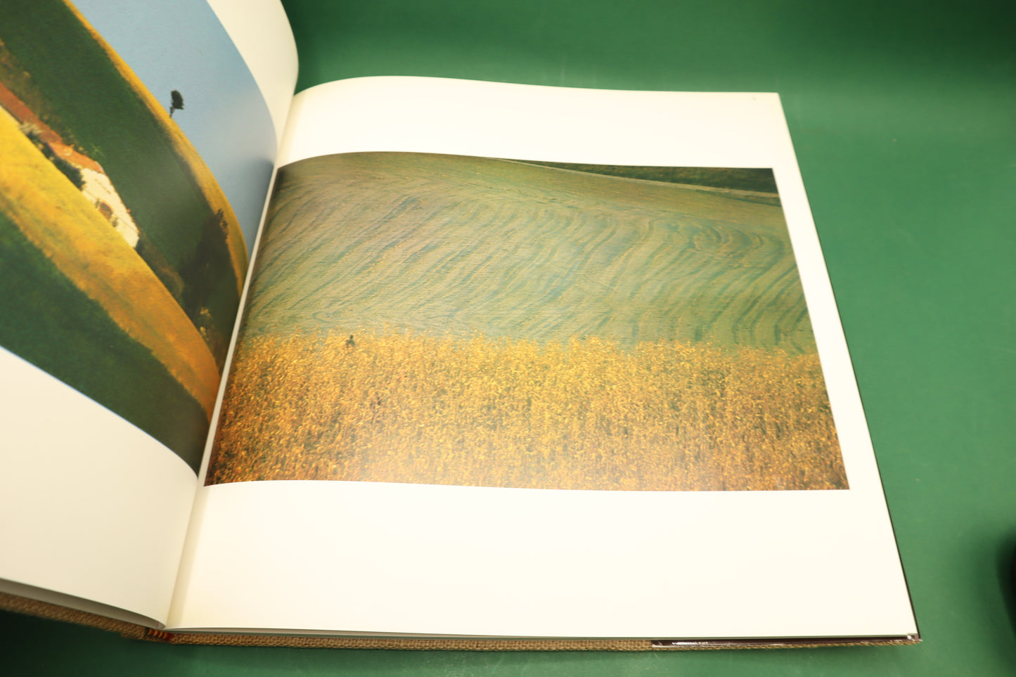 Signori Della Langa 1975 G.P.Cavallero