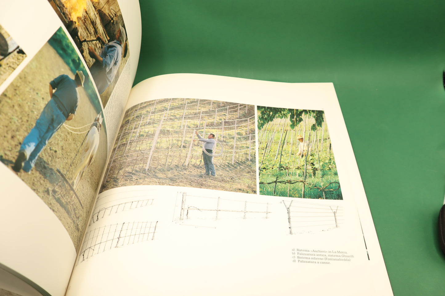 Langa documenti collana Diretta da Gigi Marsica Il ferro - Ferrero RARO Libro 1977