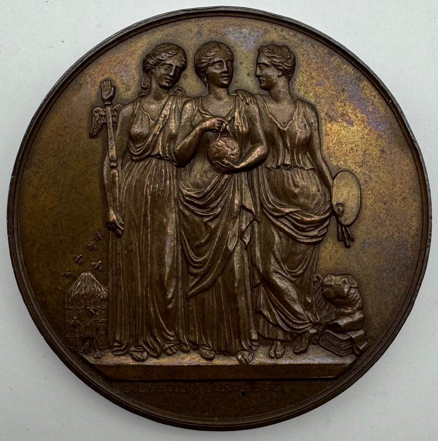 Francia Medaglia Bronzo Congrès Scientifique de France IX Sessione Lyon 57,57 g XIX Secolo