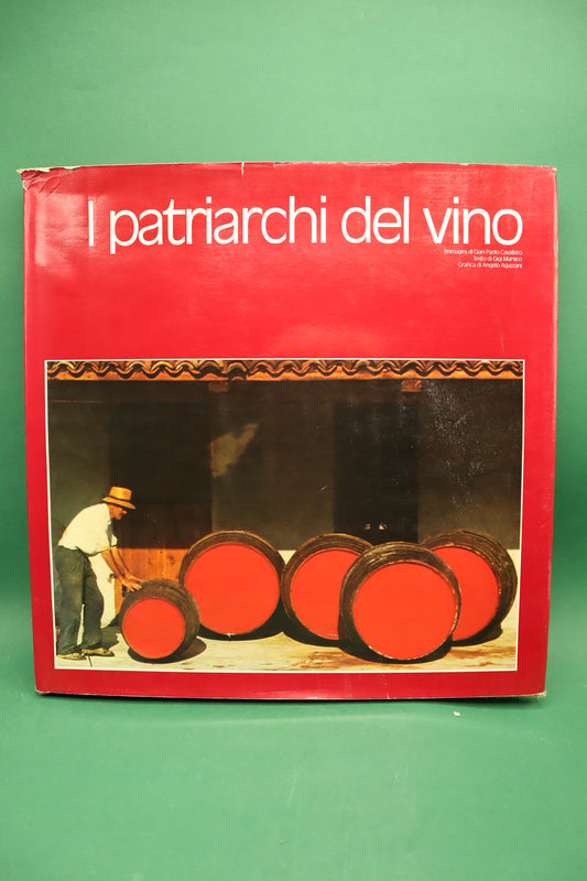 I patriarchi del Vino - Gigi Marsico 2008
