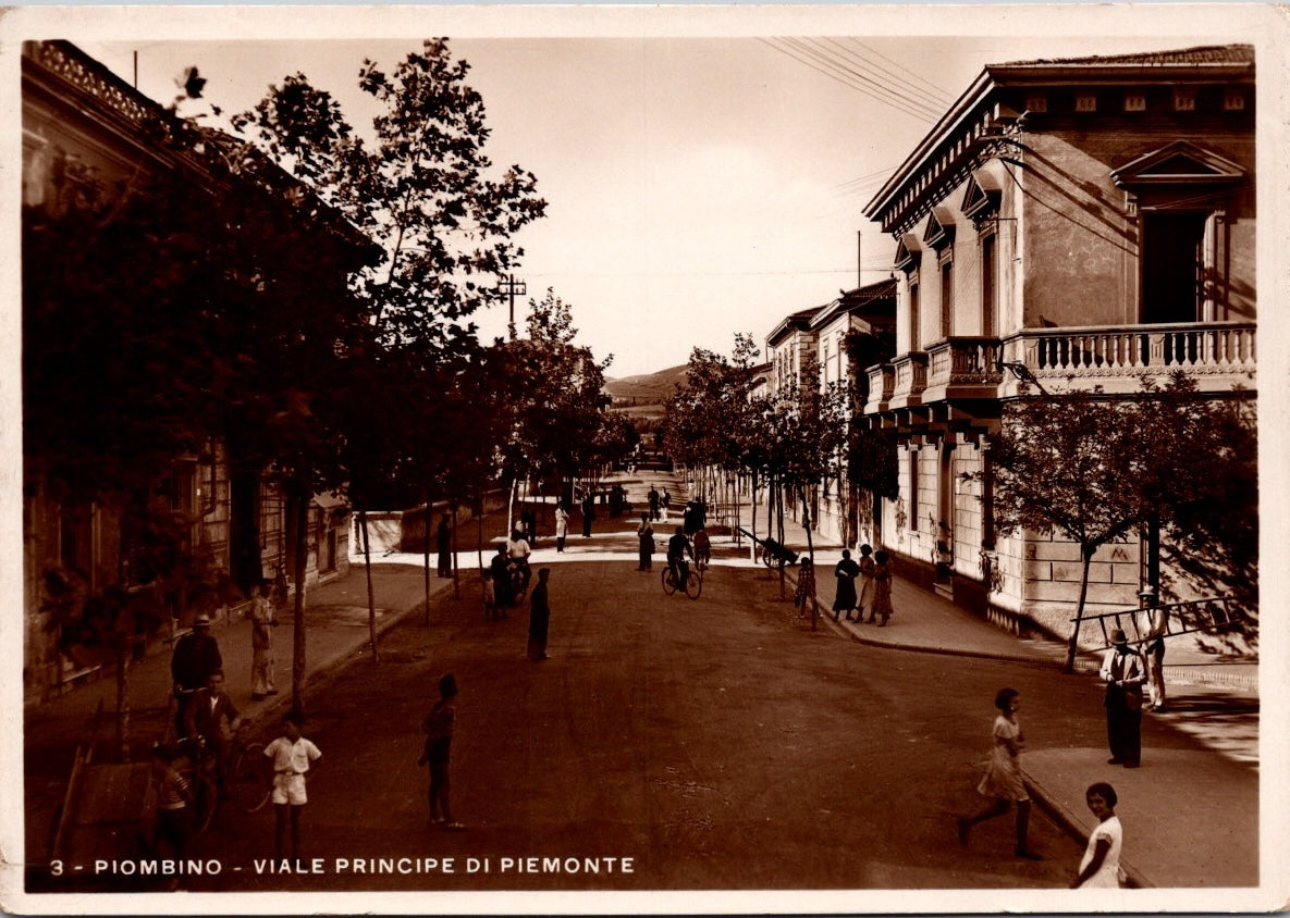 Cartolina Piombino provincia di Livorno – Viale Principe di Piemonte Vintage Postcard Italy