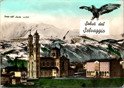 Cartolina Punta dell’Aquila – Saluti dal Selvaggio Vintage Postcard Italy