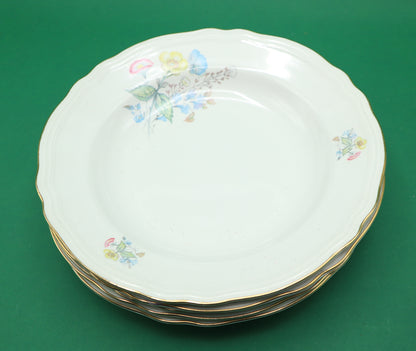 Vintage Piatti Richard Ginori Porcellana Ariston Vintage anni 50' numero 69-16